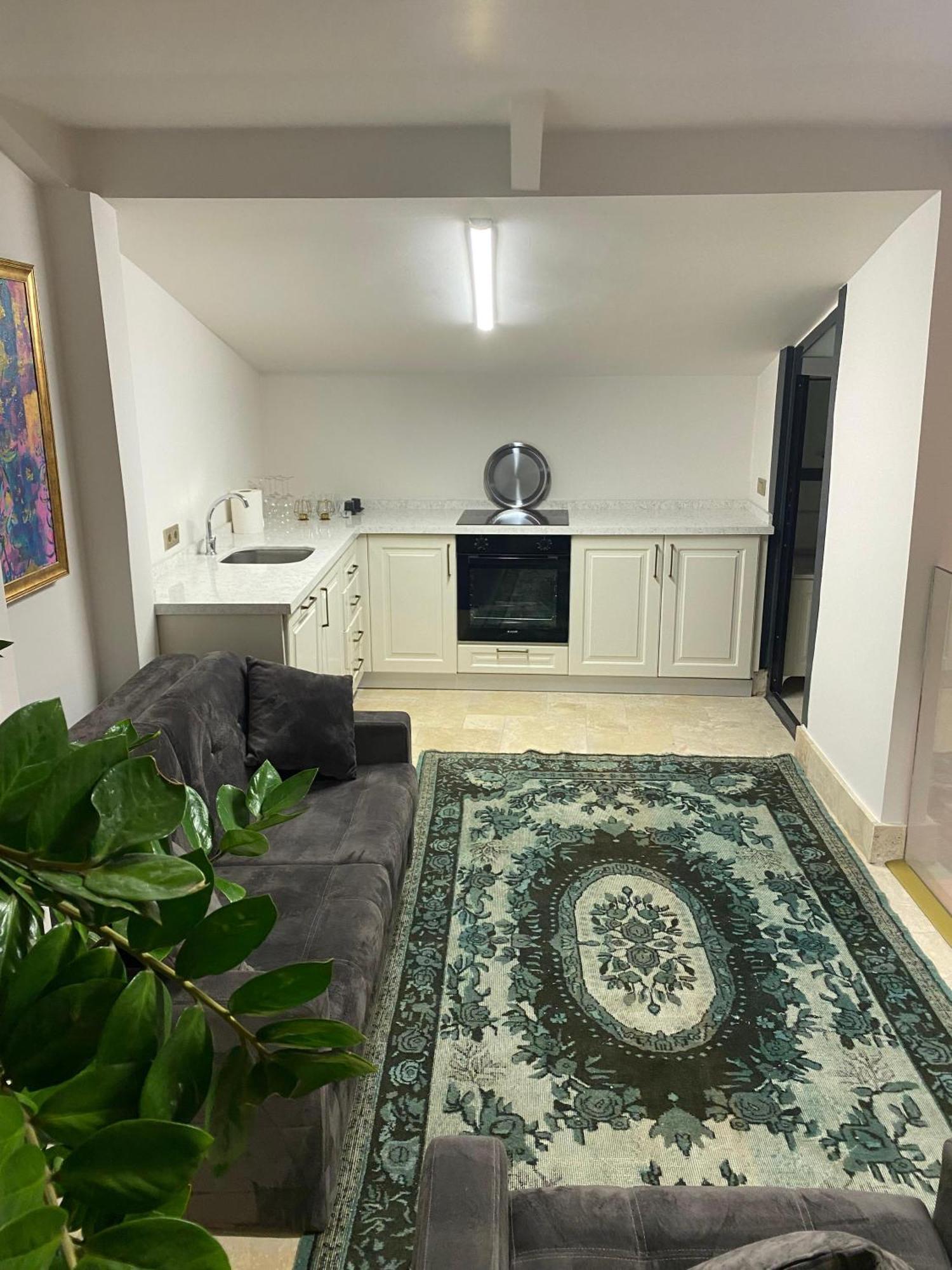 Ab Residences- Private Villa Independent 이스탄불 외부 사진